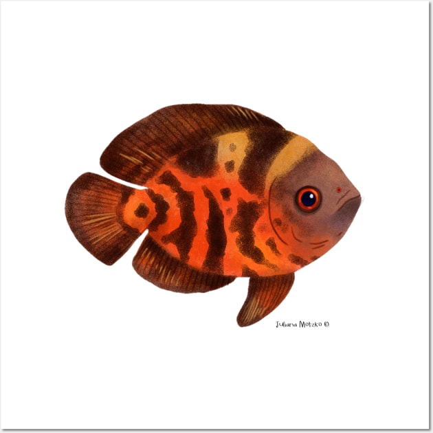 Oscar Cichlid Fish Wall Art by julianamotzko